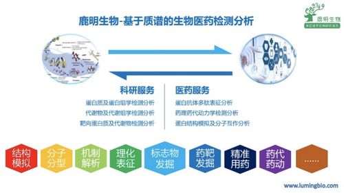 鹿明生物舒烈波 以质谱检测技术服务科学家与药企的“店小二”精神